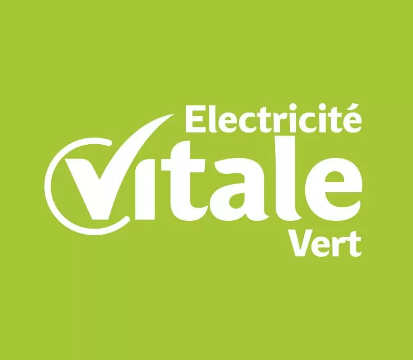 Logo Electricité vitale vert sur fond vert agence digitale.